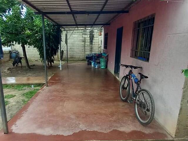 para en - 3